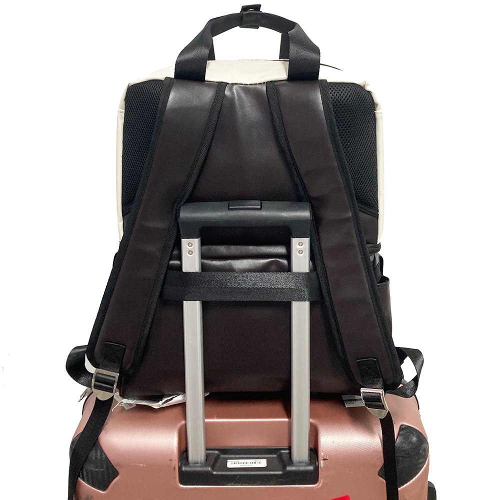 cooler backpack (23).jpg