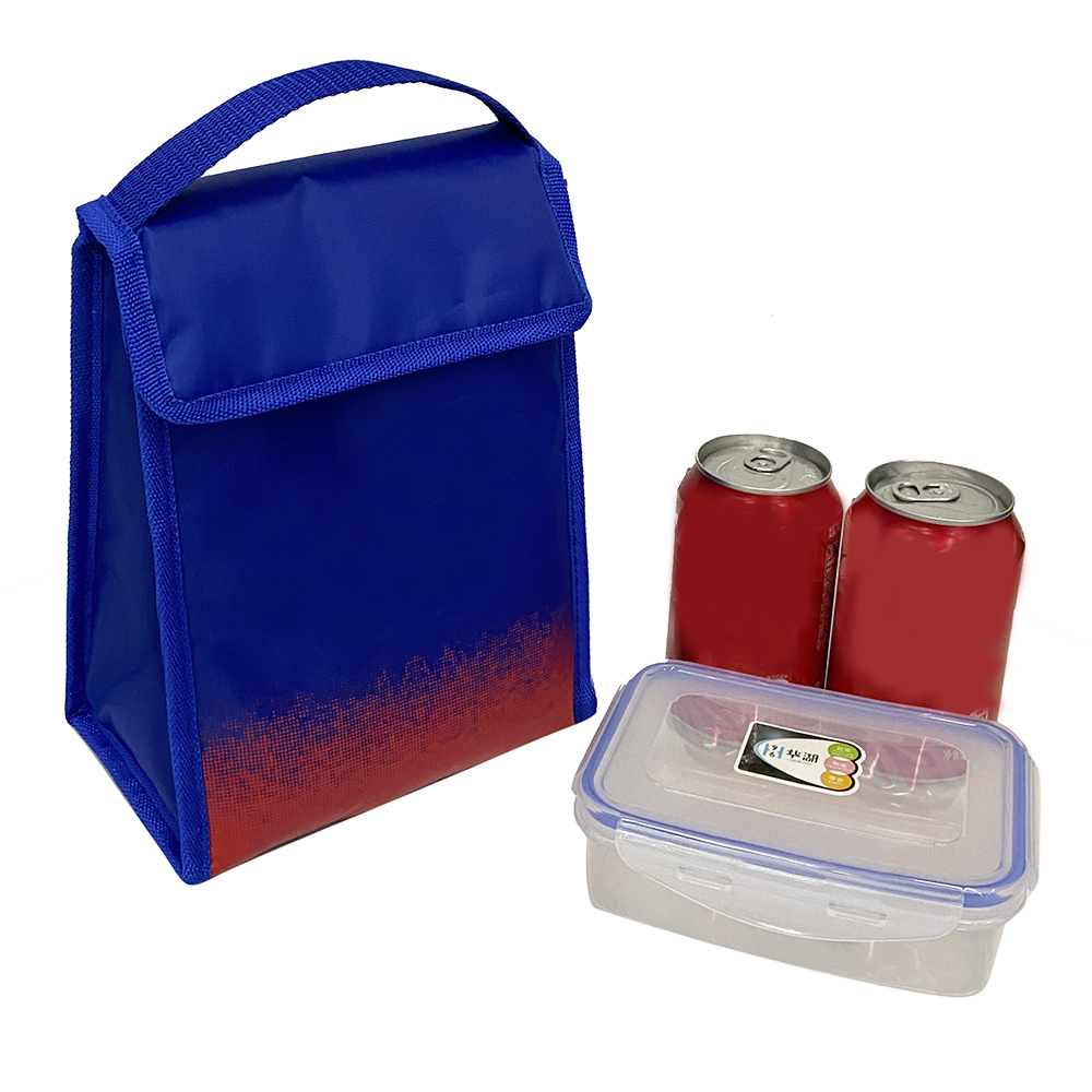 Portable Insulated Thermal Food Kids Picnic Lunch Bags Functional Pattern Kid's Cooler Lunch Bag with Handle