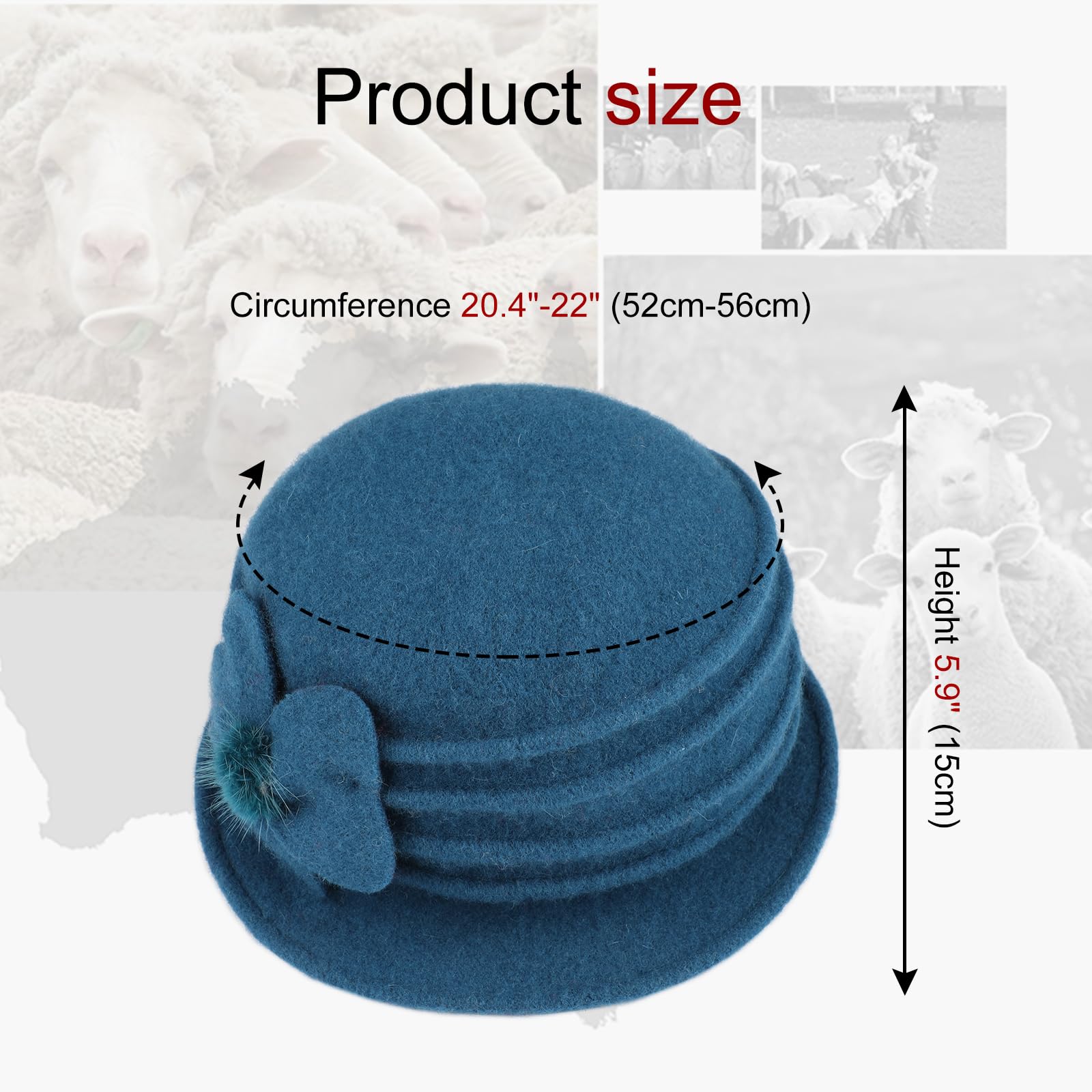 E 蓝色孔雀-04.jpg